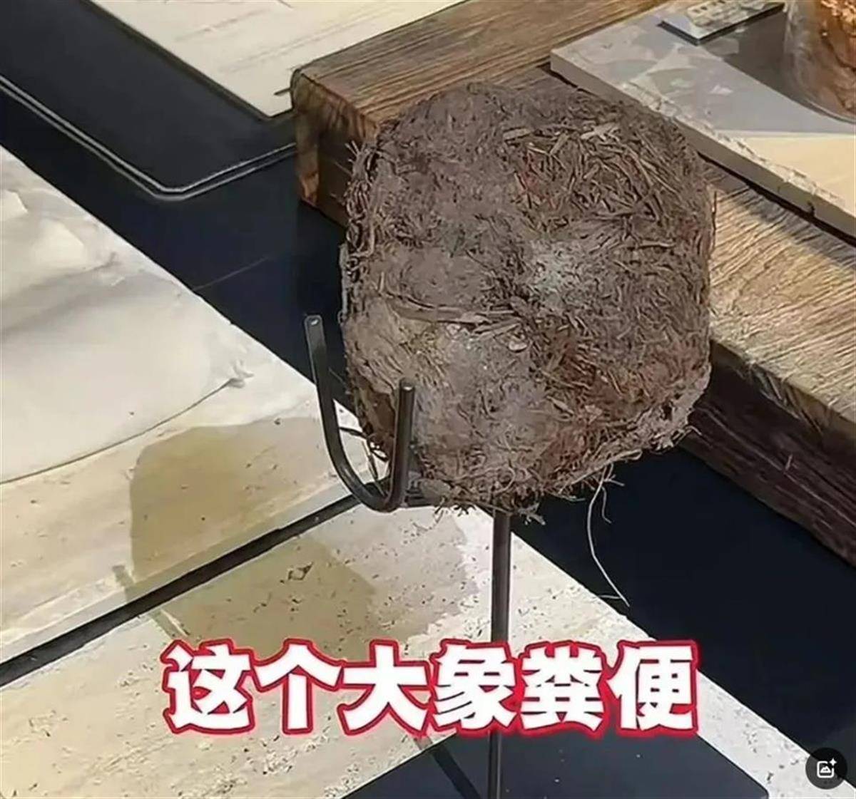 瑞士乙组联赛升级赛
_用大象粪便做甜品的餐厅瑞士乙组联赛升级赛
，因违反《食品安全法》被立案调查