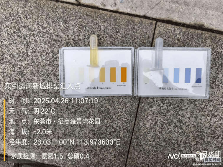 皇冠信用网开户_东莞寒溪河出现大片死鱼皇冠信用网开户！官方回应：天气原因
