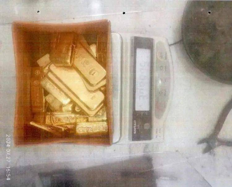 世俱杯免费直播
_小树林里接头世俱杯免费直播
，一天背走2000多万元黄金！上海两人被判刑