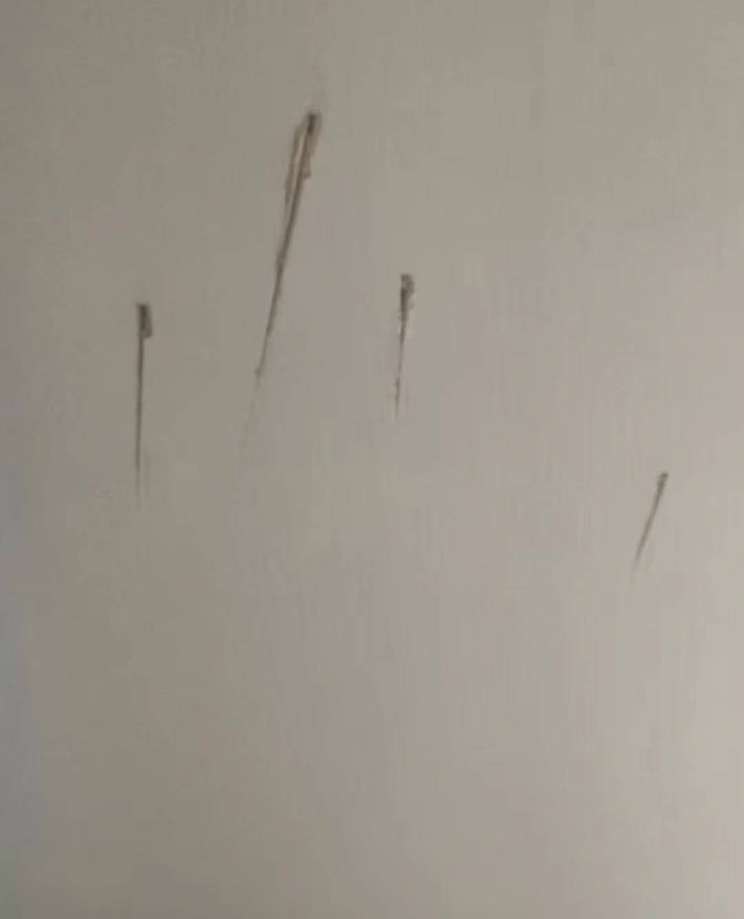 克罗地亚足球联赛
_陕西一护士被同居男友杀害克罗地亚足球联赛
，日记称长久遭受暴力威胁，家属希望追加虐待罪名，最新进展