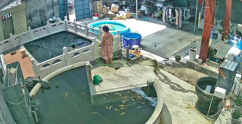 皇冠信用盘如何开户_新乡一男子喂鱼忘送娃上课被妻子踹进鱼池:妻子怀孕脾气有时候控制不住皇冠信用盘如何开户,互相道了歉