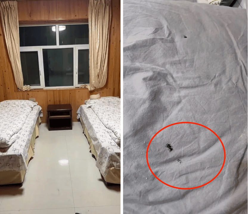 科罗纳vs拉多麦科_99元豪华游科罗纳vs拉多麦科，被骗到内裤不剩