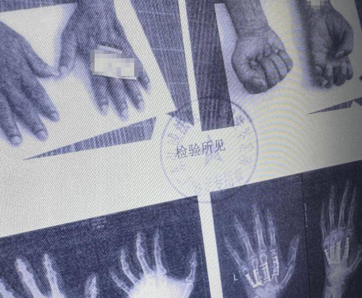 皇冠信用盘会员开户
_南海开渔皇冠信用盘会员开户
，无惧争“鲜”