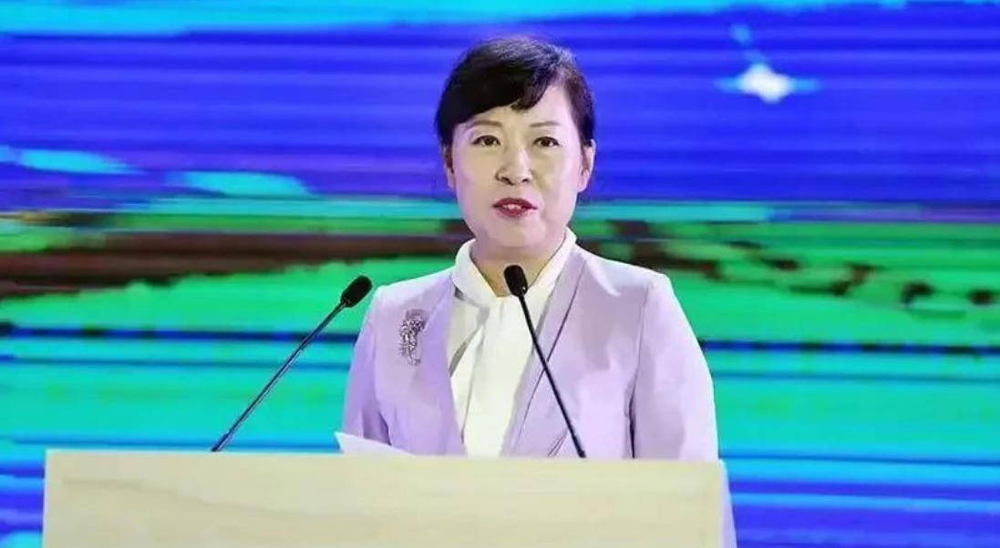 AC米兰vs克雷莫内塞
_“换装主席”王莉霞的堕落：从光鲜人设到腐败深渊