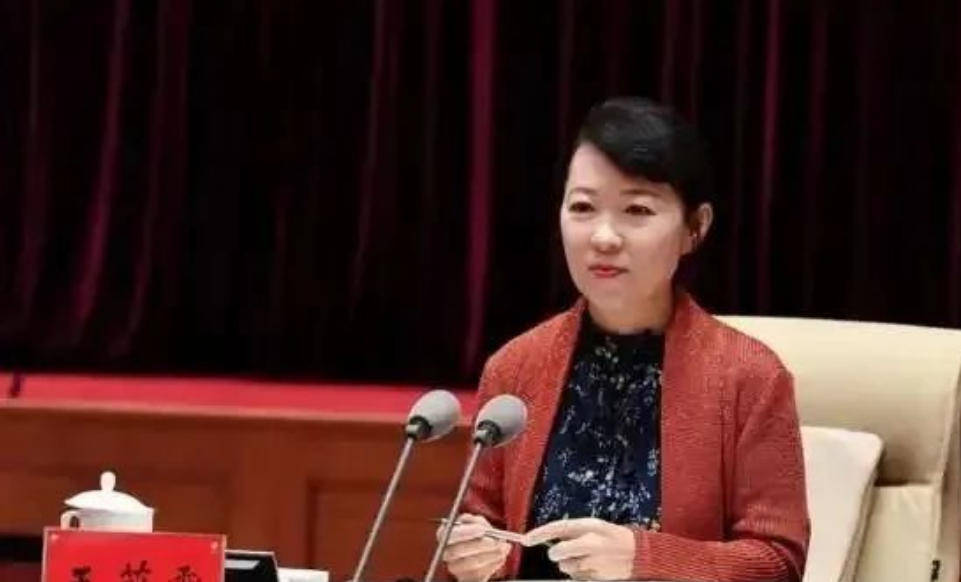 AC米兰vs克雷莫内塞
_“换装主席”王莉霞的堕落：从光鲜人设到腐败深渊