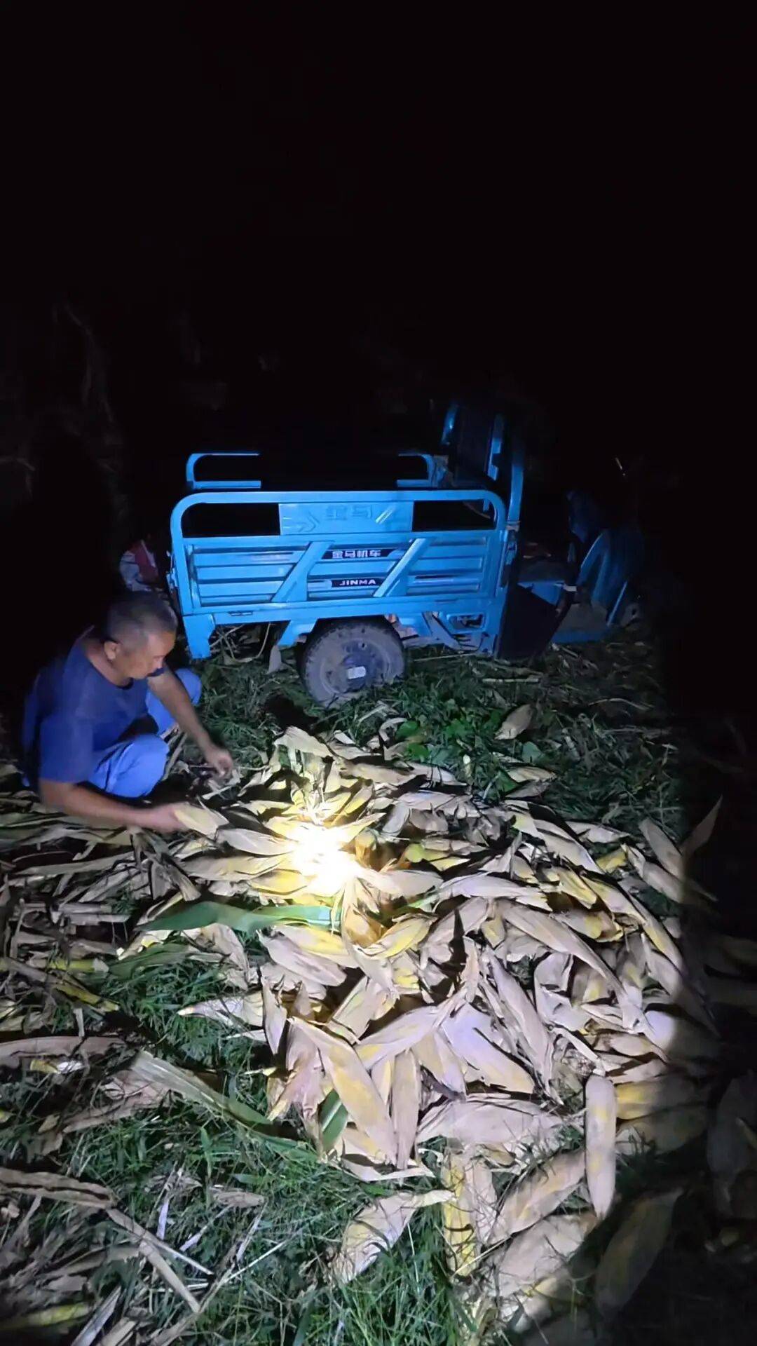 皇冠信用网登1_山东一大学生国庆8天假掰了7天半玉米皇冠信用网登1，本人称“自己多弯一次腰父母就少吃一点苦”