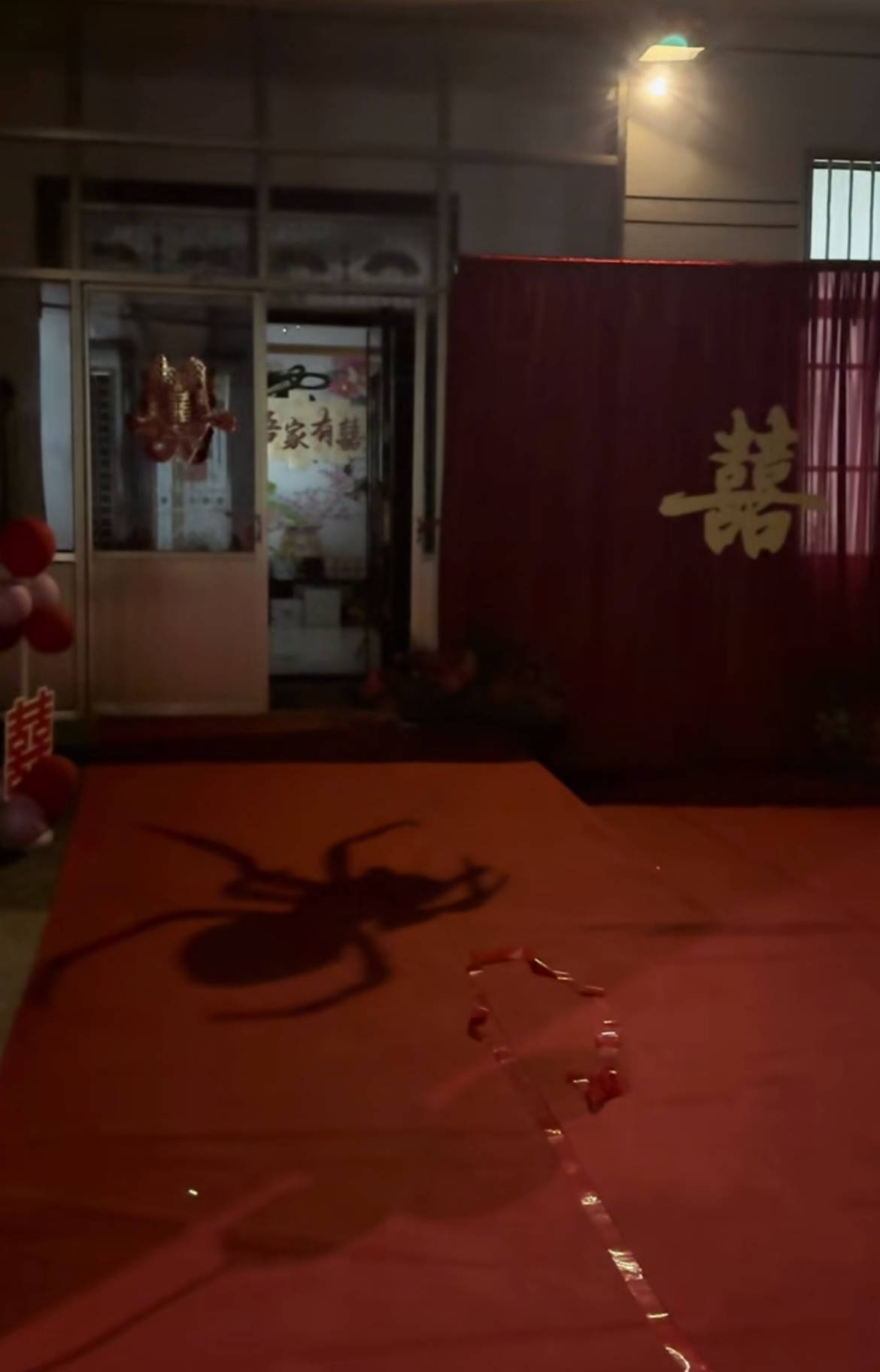 皇冠信用盘代理登1
_山东一新娘家凌晨出现巨大蜘蛛的倒影皇冠信用盘代理登1
,拍摄者:蜘蛛爬在灯泡上,网友:这才是喜结连理