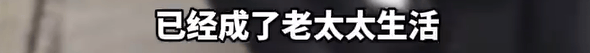 本菲卡 vs 勒洪库森
_养了四年的宠物鸭被汽车碾死本菲卡 vs 勒洪库森
，老太太当街包鸭痛哭，目击者：她老伴重病，鸭子是用来祈福的