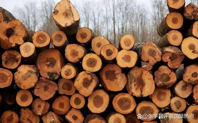 皇冠信用網开号
_48小时内皇冠信用網开号
，中方连下3令，特朗普别高兴太早，承诺一个都不能少