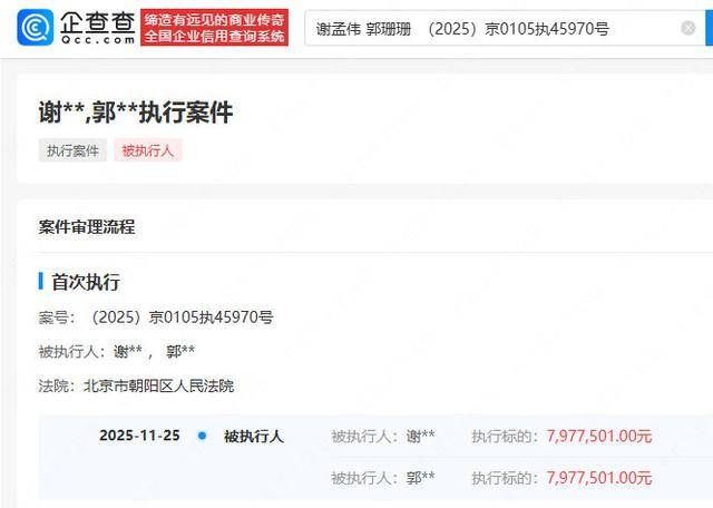 篮球_“嘎子”谢孟伟夫妇再被执行797万篮球，此前被执行超1400万