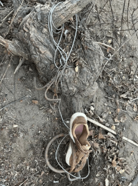 皇冠信用网出租代理
_“鞋子完全穿透”!北京一男子进山玩皇冠信用网出租代理
,突然脚被一股强大的力量咬住