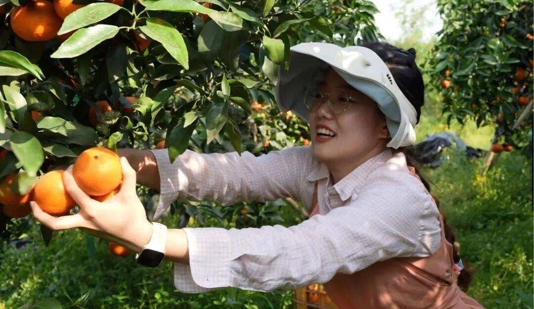 皇冠会员如何申请_考研失败、工作失业皇冠会员如何申请，95后情侣回成都换赛道火了，全网追着买！她说：不是爽文逆袭