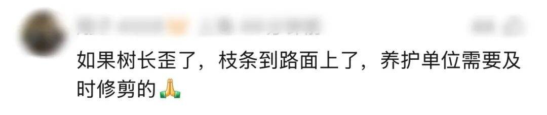 世界杯代理
_“树全责世界杯代理
!”上海一司机撞树喊冤:这棵树长太歪!交警一句话点醒众人