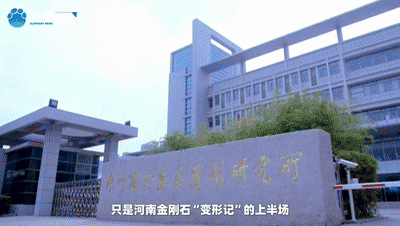 2022足球平台出租
_金刚石在河南的N种模样丨开局之年看中国